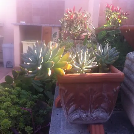 Letterario Bed & Breakfast Fiumicino