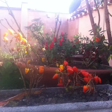 Letterario Bed & Breakfast 3*