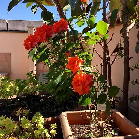 Bed & Breakfast Letterario 3*