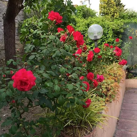 Bed & Breakfast Letterario Fiumicino