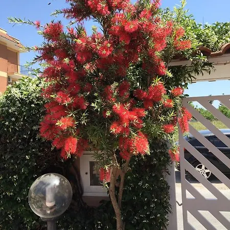 Letterario Bed & Breakfast 3*